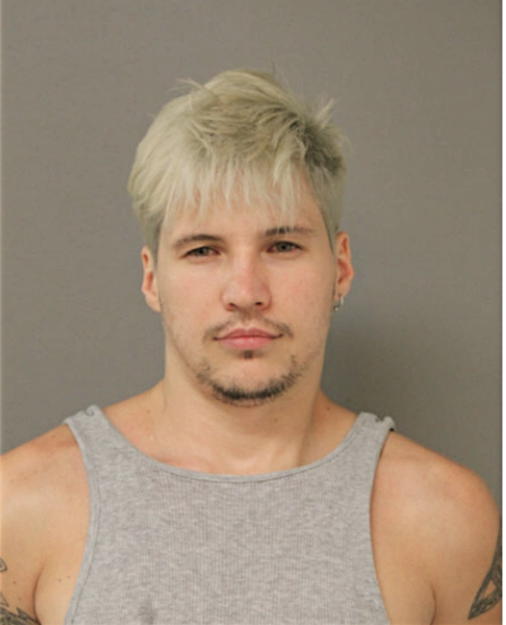 NICKOLAUS A LAWDENSKI, Cook County, Illinois