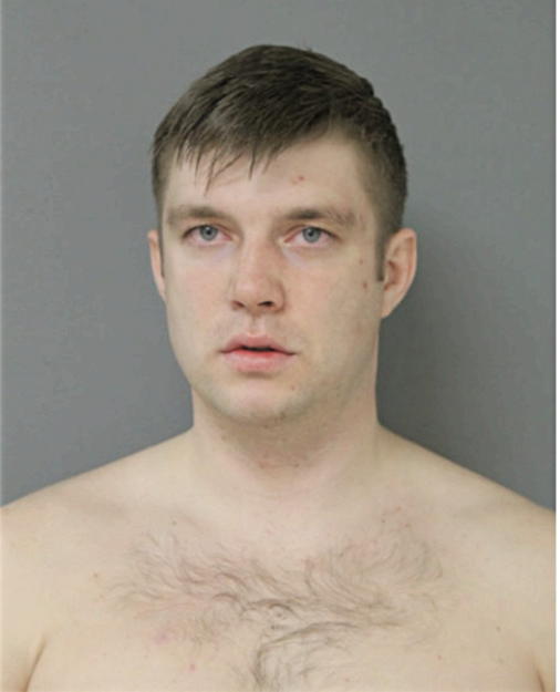 DMYTRO MIROSHNYK, Cook County, Illinois