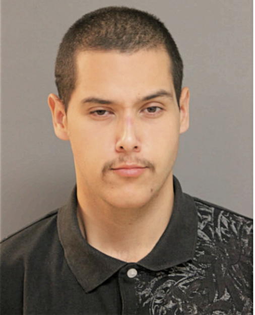 HENRY C PENA, Cook County, Illinois