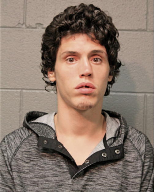 KENNITH F PERKINS, Cook County, Illinois