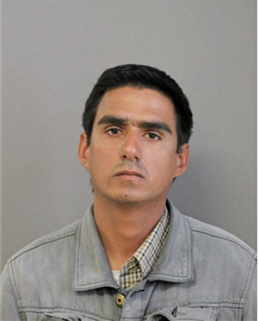 MAGDIEL PORTAL, Cook County, Illinois