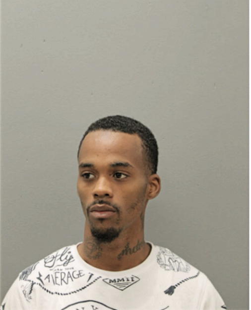 PERRY ELLIS R STEPHENS, Cook County, Illinois