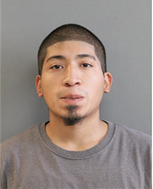 ARMANDO B RAMOS, Cook County, Illinois