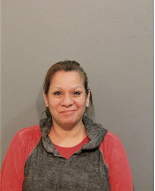 INGRID S RIVERA, Cook County, Illinois