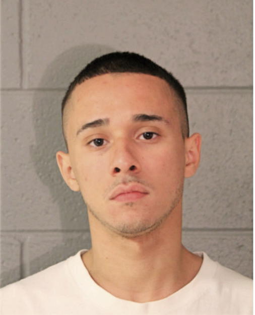 MICHAEL A RODRIGUEZ, Cook County, Illinois