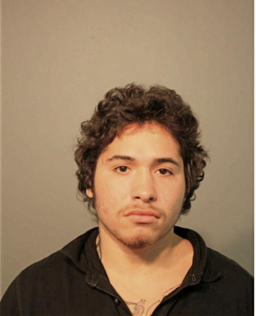 DANNY J SIMMONS, Cook County, Illinois