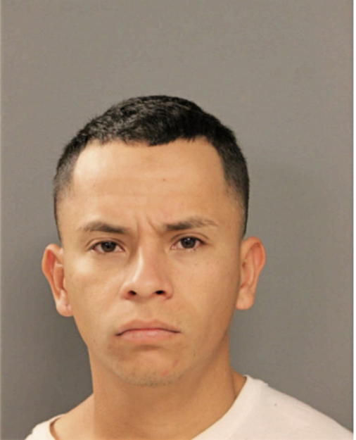 ALEJANDRO TORRES, Cook County, Illinois