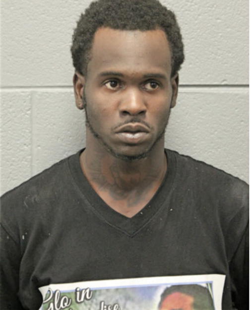 LESHAWN D TURNER, Cook County, Illinois