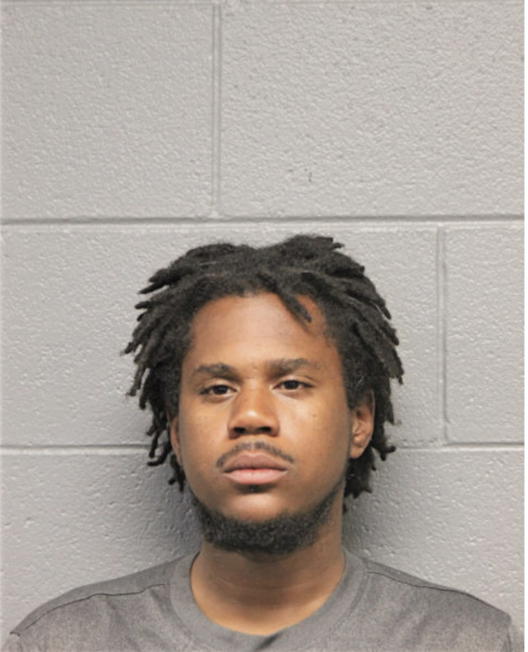 ROBERT P WARNER, Cook County, Illinois