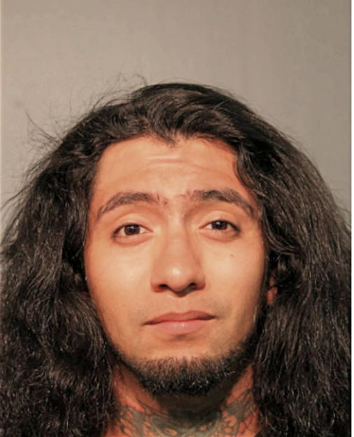 ERICK ABOYTES, Cook County, Illinois