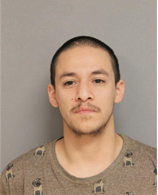 BRIAN O AGUIRRE, Cook County, Illinois
