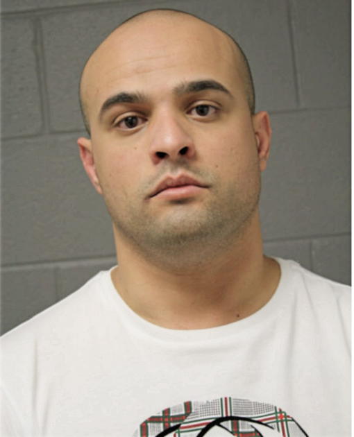 NIMER M ALNIMER, Cook County, Illinois