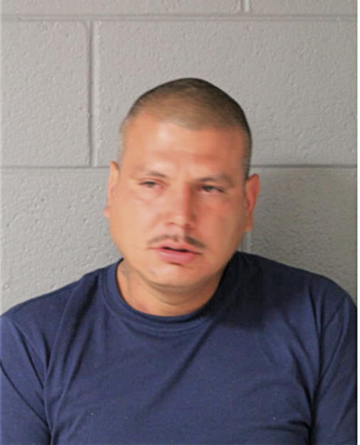 JESSE R ANAYA, Cook County, Illinois