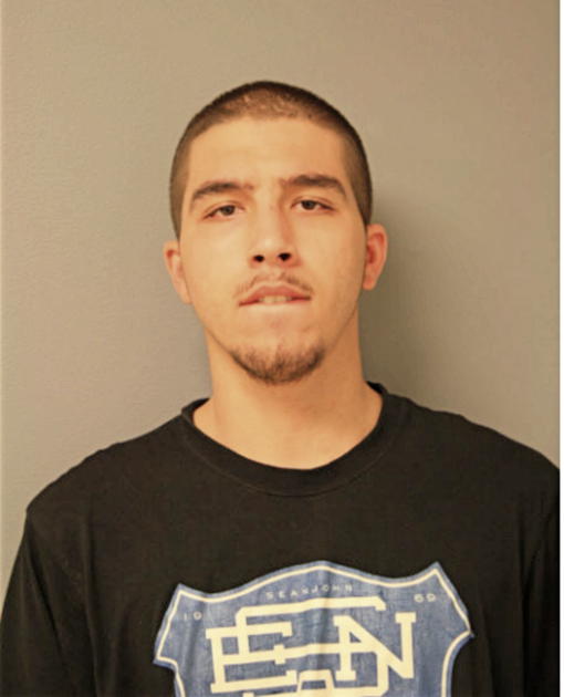 VINCENT M ARIZZI, Cook County, Illinois