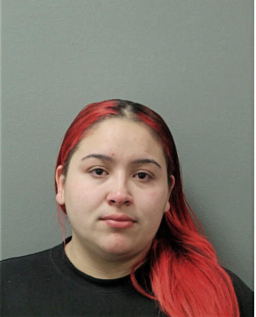 ARACELI ARZATE, Cook County, Illinois
