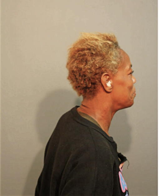 ROSIE E BAILEY, Cook County, Illinois