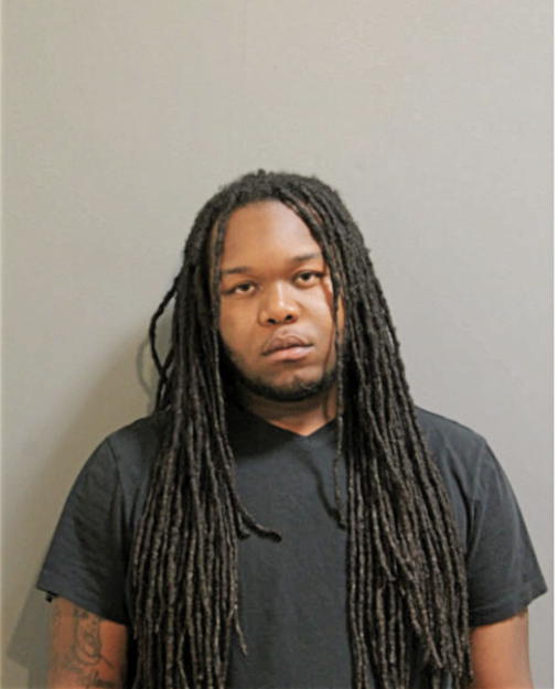 ANTHONY D ANDERSON, Cook County, Illinois