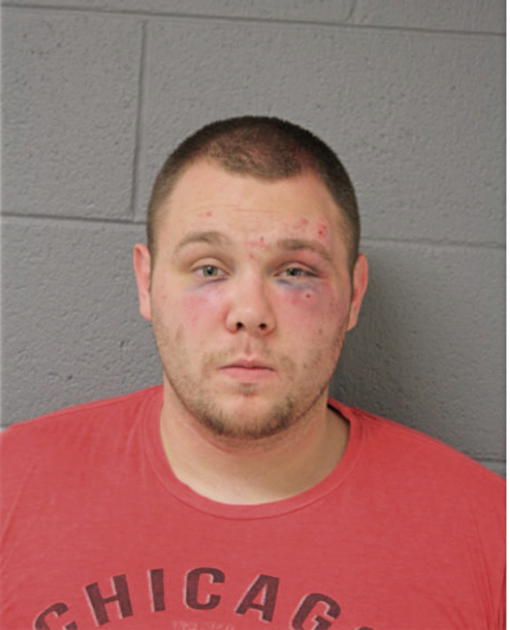 RYAN E GUTOWSKI, Cook County, Illinois
