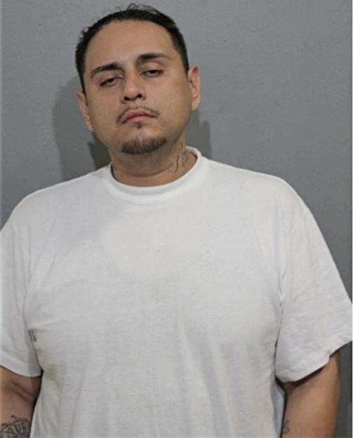 RODOLFO J GUZMAN, Cook County, Illinois