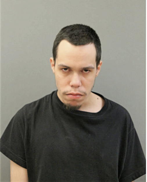 LUIS R HERNANDEZ, Cook County, Illinois