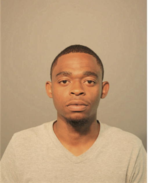 ROBERT S HOLDEN-VAUGHN, Cook County, Illinois