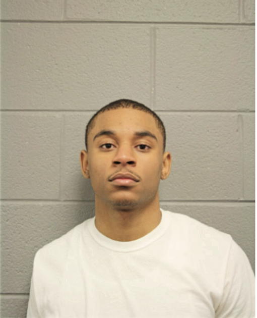 CHRISTOPHER D LEWIS, Cook County, Illinois