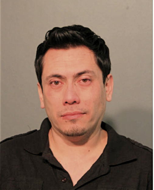ARTURO F LOPEZ-ALARCON, Cook County, Illinois