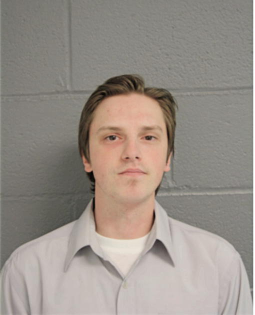 SERGEI S LYSOV, Cook County, Illinois