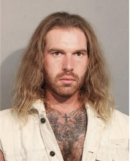 JOSEPH D MINTICH, Cook County, Illinois
