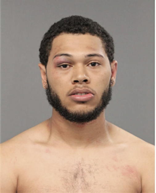 JULIAN PALMER, Cook County, Illinois