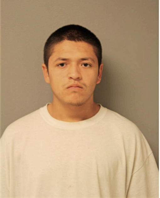 JOSE G PERDOMO, Cook County, Illinois