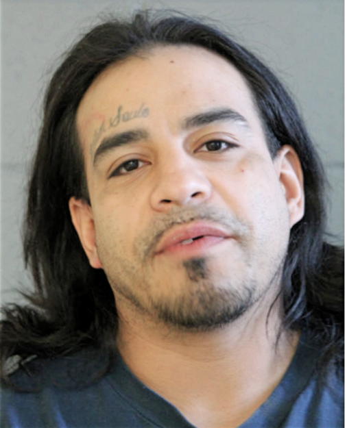 ERNESTO REYES, Cook County, Illinois