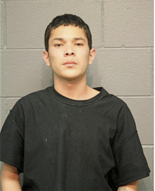 PEDRO REYES, Cook County, Illinois