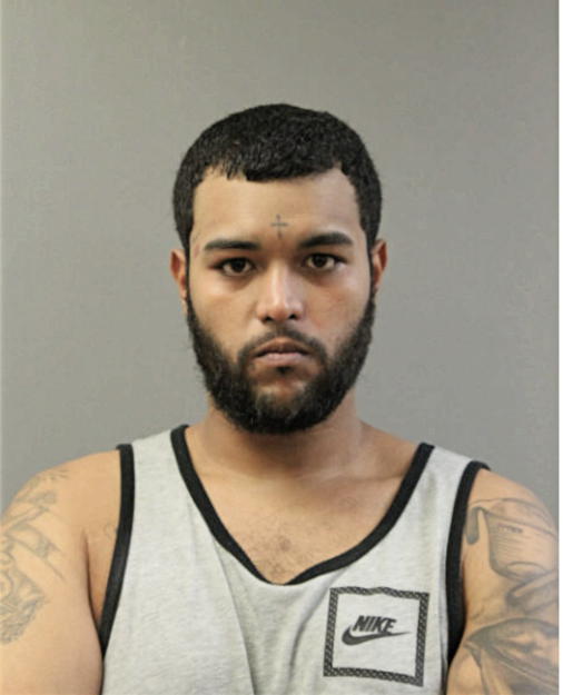 MICHAEL A ROJANO, Cook County, Illinois