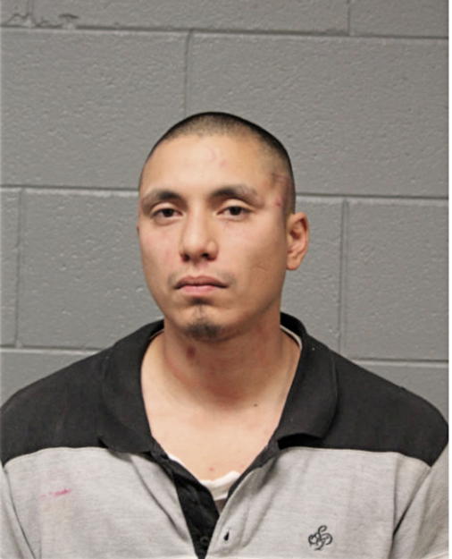 ADONIS J SALGADO, Cook County, Illinois
