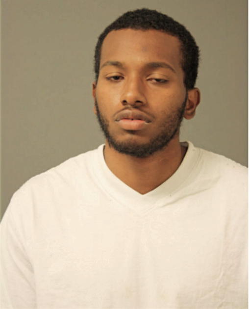 CHRISTOPHER M SALINAS, Cook County, Illinois