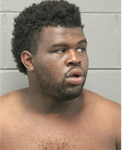 ROBERT S SNEAD, Cook County, Illinois