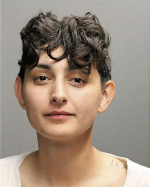 CHRISTINA A STARR, Cook County, Illinois