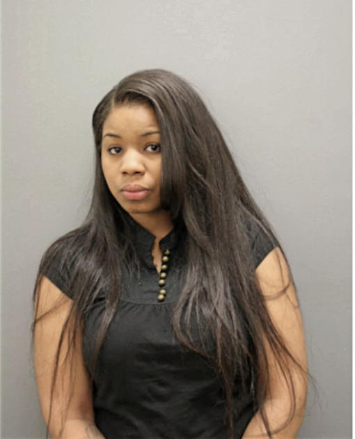BRITTANY N TERRY, Cook County, Illinois