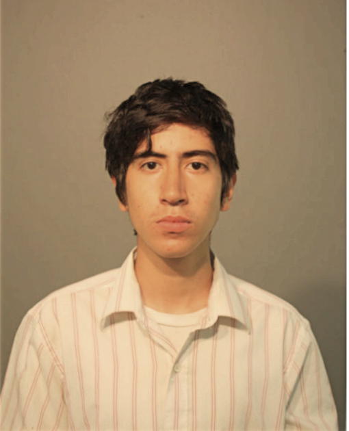 ANTONIO A TORRES, Cook County, Illinois