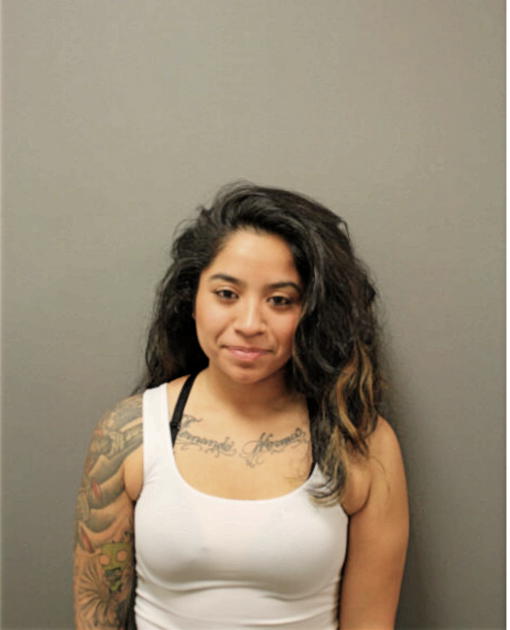 ROSA G TREVINO, Cook County, Illinois