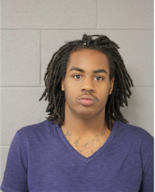 ANTHONY M WILLIAMS, Cook County, Illinois