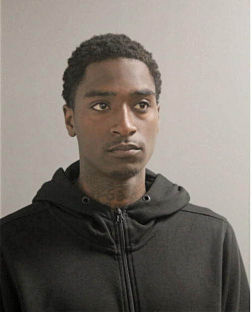 DIWAN T WILSON, Cook County, Illinois
