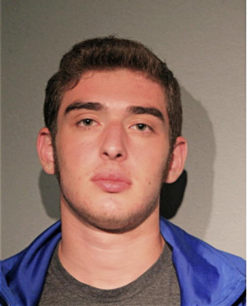 ANDREW N YANISHEVSKI, Cook County, Illinois