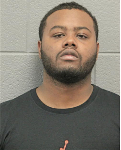 ERIC ANDERSON, Cook County, Illinois