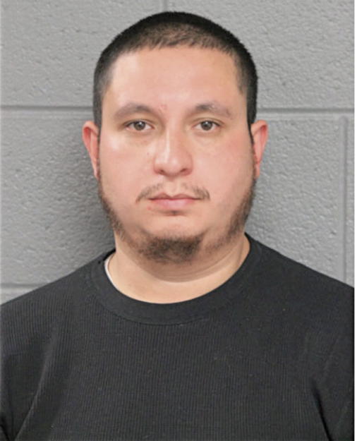 ANTONIO M BOTELLO, Cook County, Illinois