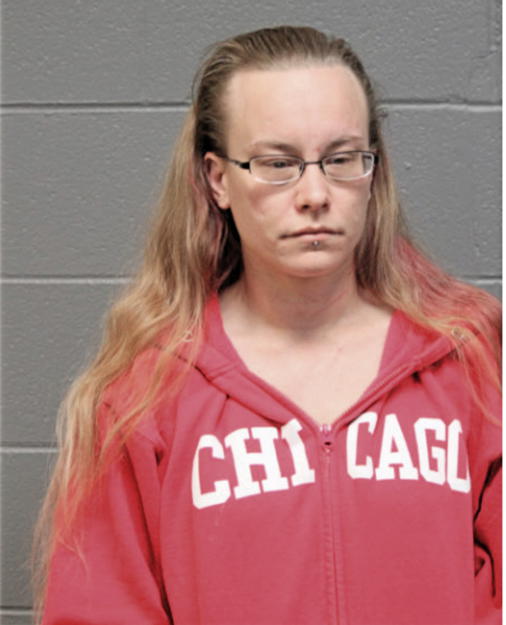 KIMBERLY A BRASIC, Cook County, Illinois