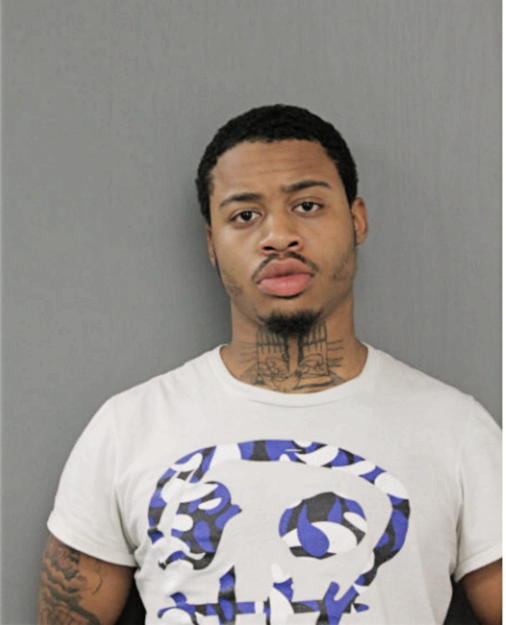 COREY N BREWER, Cook County, Illinois