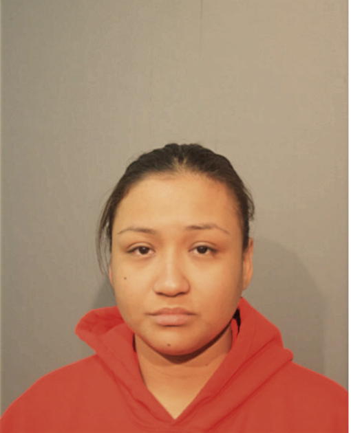 DIANA E CRUZ, Cook County, Illinois