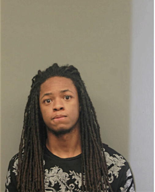 DANIEL D DAVIS, Cook County, Illinois